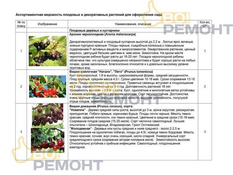 Проект благоустройства территории-102